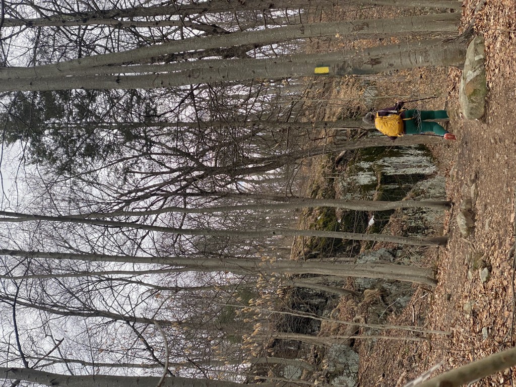 Challenging uphill trail